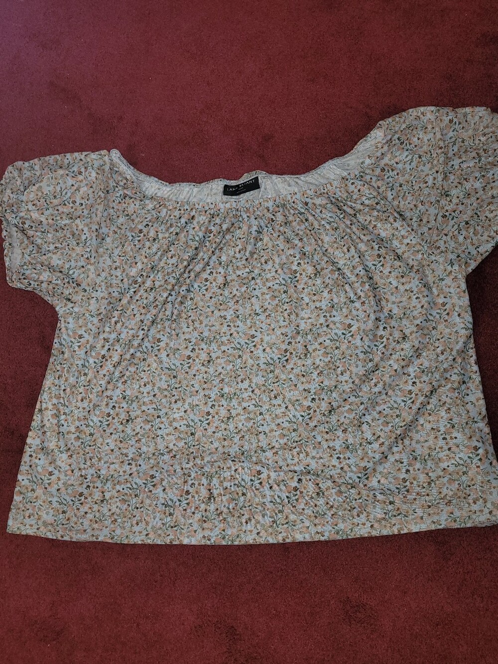 Lane Bryant Size 22 24 Off The Shoulder Top
